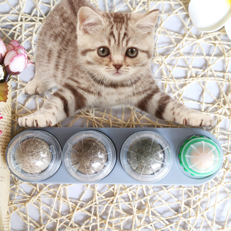 FetchBuddy™ Interactive Catnip Wall Toy – Rotating Lick Ball for Stress Relief & Play