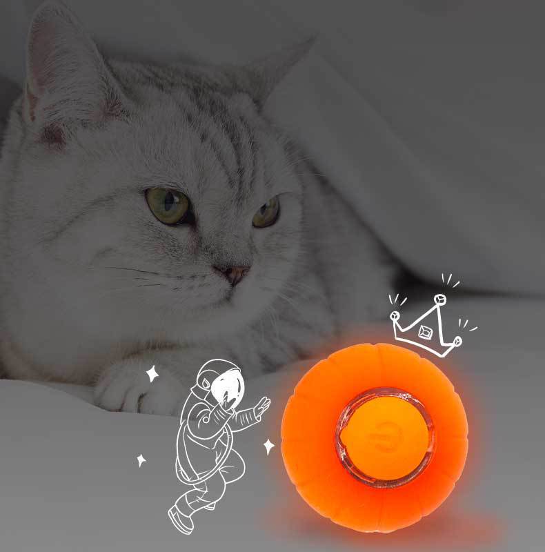 FetchBuddy™ Smart Rolling Cat Ball