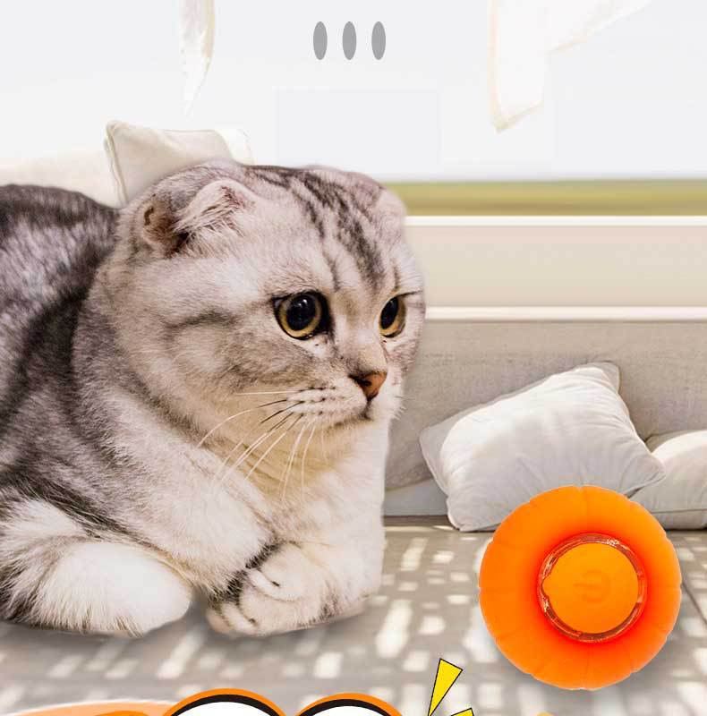 FetchBuddy™ Smart Rolling Cat Ball