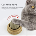 FetchBuddy™ Anti-Boredom Catnip Treat Ball