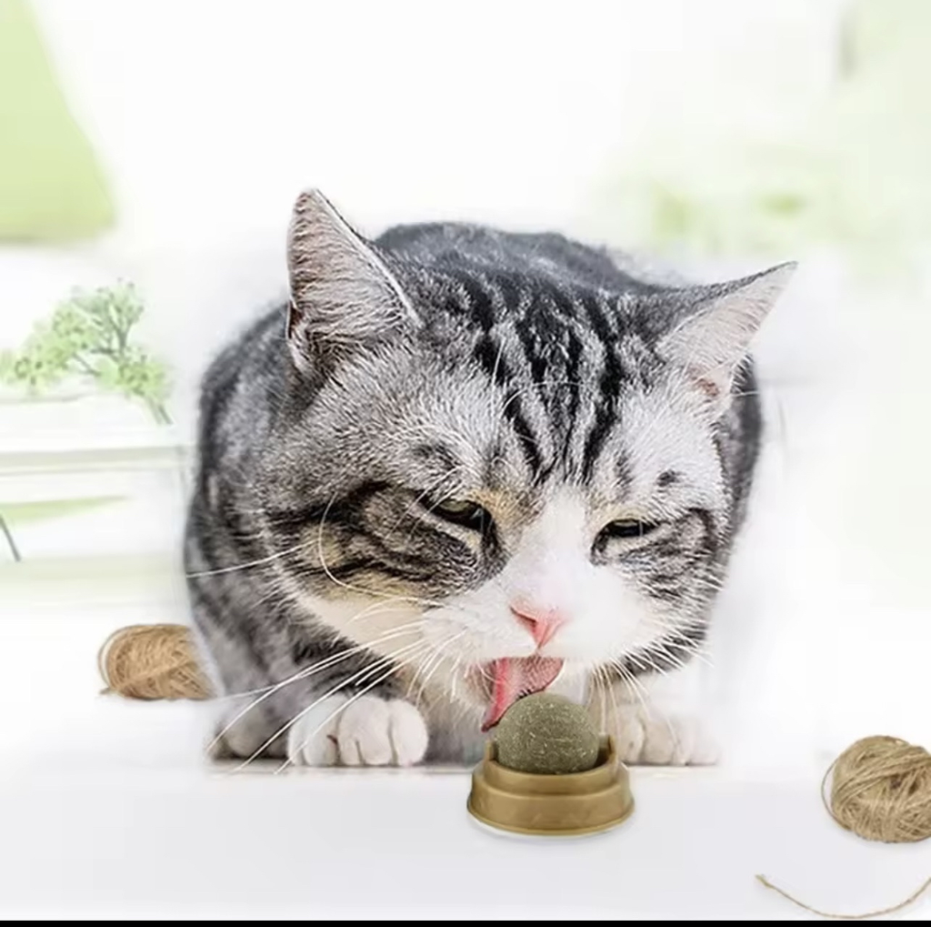 FetchBuddy™ Anti-Boredom Catnip Treat Ball