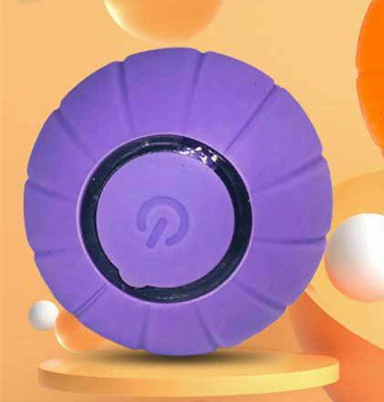 FetchBuddy™ Smart Rolling Cat Ball